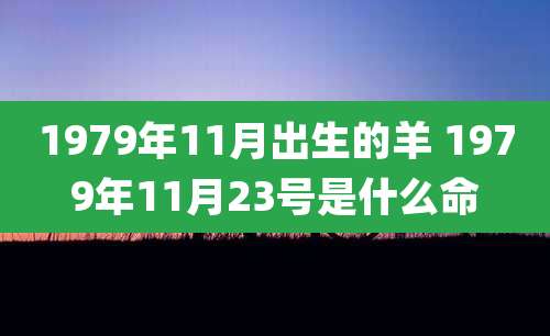 1979年11月出生的羊 1979年11月23号是什么命