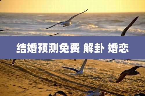 结婚预测免费 解卦 婚恋
