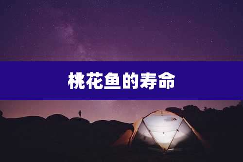 桃花鱼的寿命
