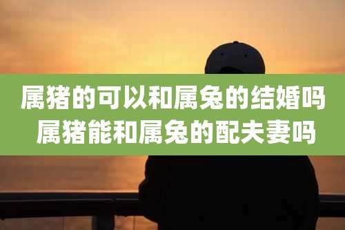 属猪的可以和属兔的结婚吗 属猪能和属兔的配夫妻吗