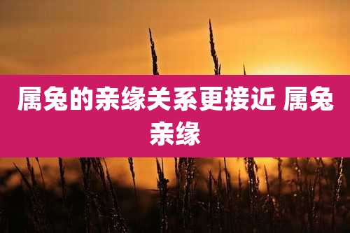 属兔的亲缘关系更接近 属兔亲缘