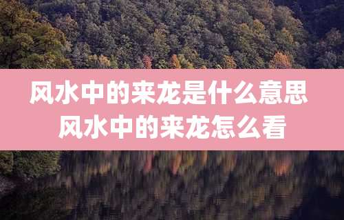 风水中的来龙是什么意思 风水中的来龙怎么看