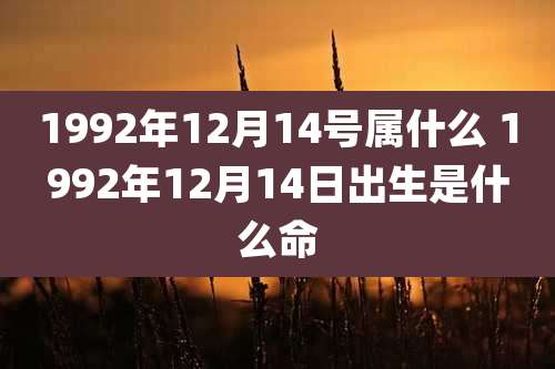 1992年12月14号属什么 1992年12月14日出生是什么命