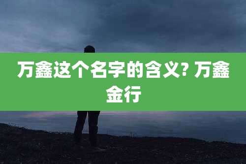 万鑫这个名字的含义? 万鑫金行