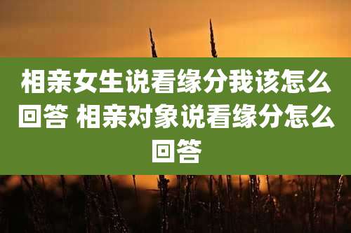 相亲女生说看缘分我该怎么回答 相亲对象说看缘分怎么回答