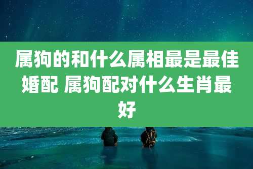 属狗的和什么属相最是最佳婚配 属狗配对什么生肖最好