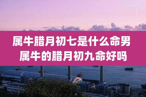 属牛腊月初七是什么命男 属牛的腊月初九命好吗