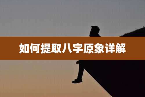 如何提取八字原象详解