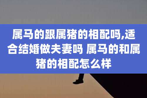 属马的跟属猪的相配吗,适合结婚做夫妻吗 属马的和属猪的相配怎么样