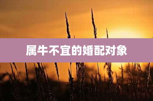 属牛不宜的婚配对象