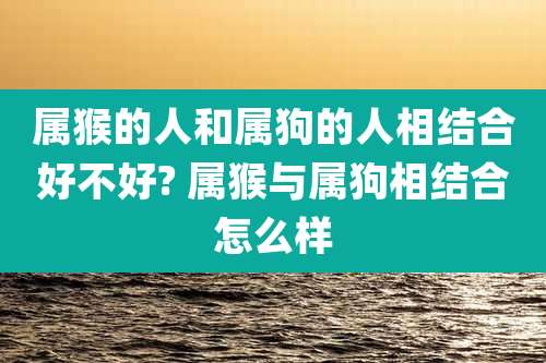 属猴的人和属狗的人相结合好不好? 属猴与属狗相结合怎么样