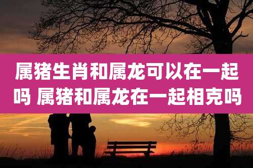 属猪生肖和属龙可以在一起吗 属猪和属龙在一起相克吗