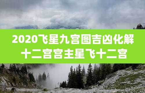 2020飞星九宫图吉凶化解 十二宫宫主星飞十二宫