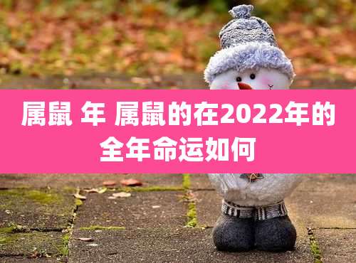 属鼠 年 属鼠的在2022年的全年命运如何