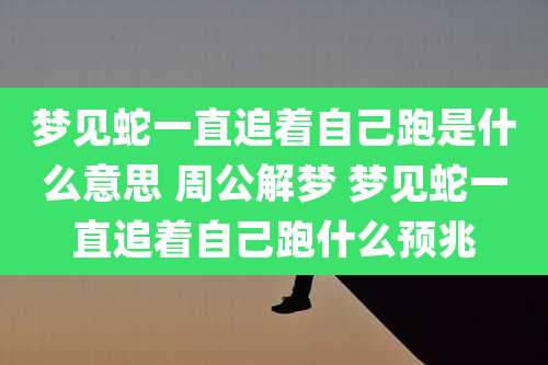 梦见蛇一直追着自己跑是什么意思 周公解梦 梦见蛇一直追着自己跑什么预兆