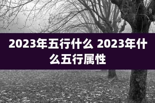 2023年五行什么 2023年什么五行属性