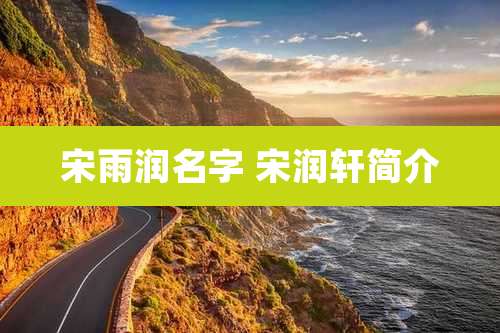 宋雨润名字 宋润轩简介