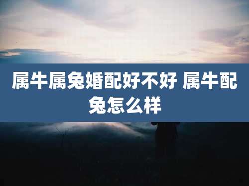 属牛属兔婚配好不好 属牛配兔怎么样