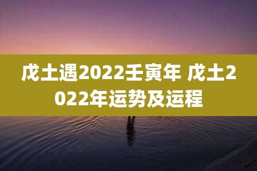 戊土遇2022壬寅年 戊土2022年运势及运程