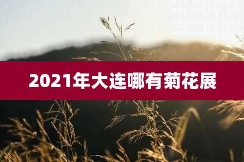 2021年大连哪有菊花展