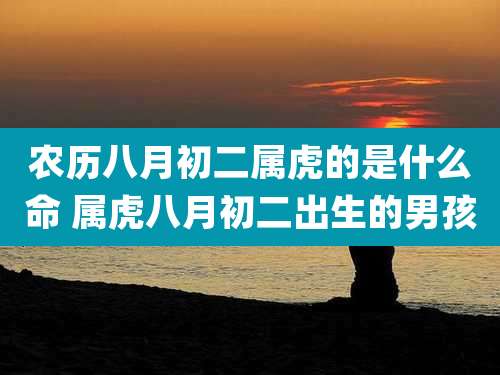 农历八月初二属虎的是什么命 属虎八月初二出生的男孩