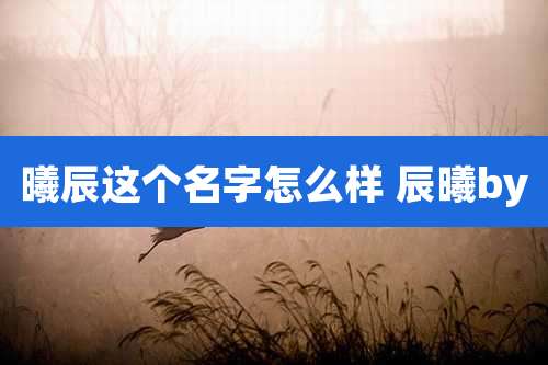 曦辰这个名字怎么样 辰曦by