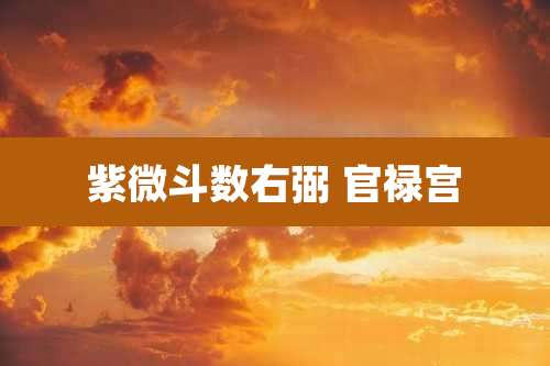 紫微斗数右弼 官禄宫