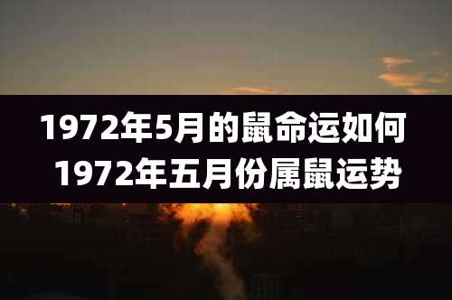 1972年5月的鼠命运如何 1972年五月份属鼠运势