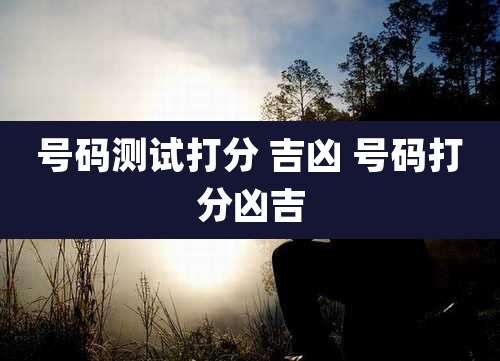 号码测试打分 吉凶 号码打分凶吉
