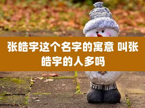 张皓宇这个名字的寓意 叫张皓宇的人多吗