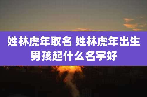 姓林虎年取名 姓林虎年出生男孩起什么名字好
