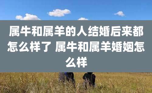 属牛和属羊的人结婚后来都怎么样了 属牛和属羊婚姻怎么样