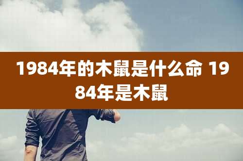 1984年的木鼠是什么命 1984年是木鼠