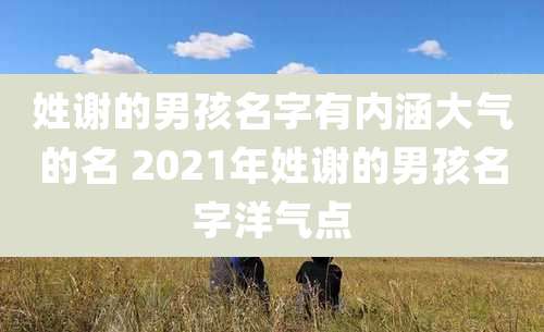 姓谢的男孩名字有内涵大气的名 2021年姓谢的男孩名字洋气点