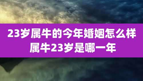 23岁属牛的今年婚姻怎么样 属牛23岁是哪一年