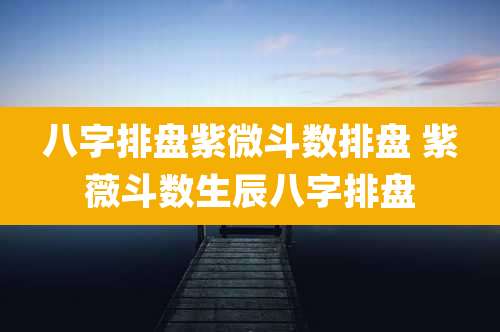 八字排盘紫微斗数排盘 紫薇斗数生辰八字排盘