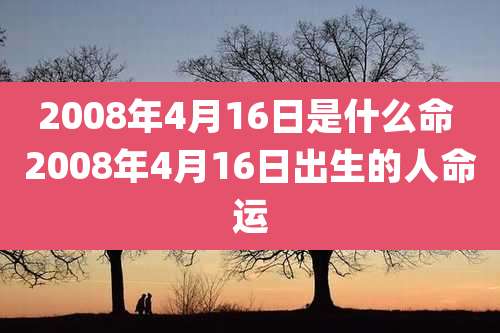 2008年4月16日是什么命 2008年4月16日出生的人命运