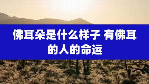 佛耳朵是什么样子 有佛耳的人的命运