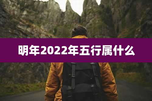 明年2022年五行属什么