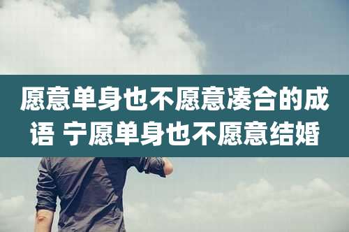 愿意单身也不愿意凑合的成语 宁愿单身也不愿意结婚