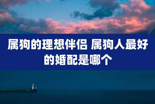 属狗的理想伴侣 属狗人最好的婚配是哪个