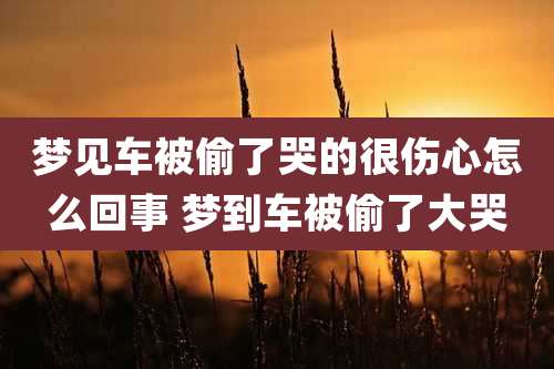 梦见车被偷了哭的很伤心怎么回事 梦到车被偷了大哭