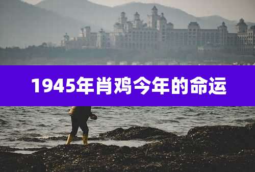 1945年肖鸡今年的命运