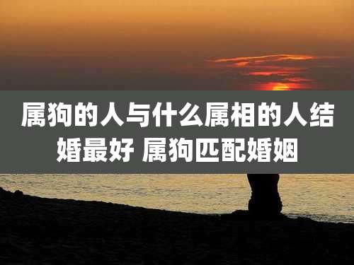 属狗的人与什么属相的人结婚最好 属狗匹配婚姻