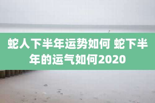 蛇人下半年运势如何 蛇下半年的运气如何2020