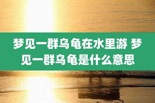 梦见一群乌龟在水里游 梦见一群乌龟是什么意思