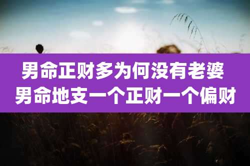 男命正财多为何没有老婆 男命地支一个正财一个偏财