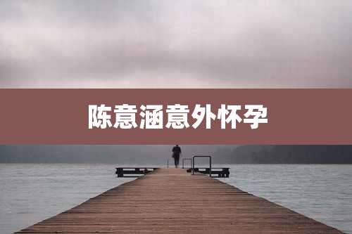 陈意涵意外怀孕