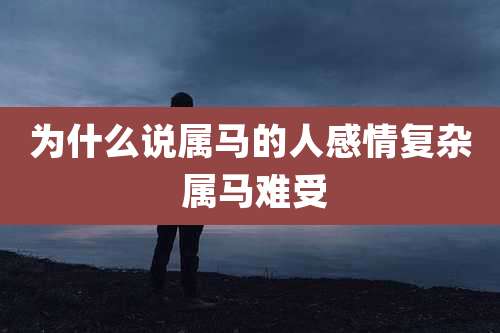 为什么说属马的人感情复杂 属马难受