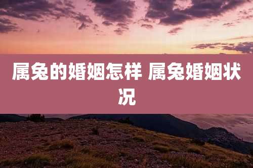 属兔的婚姻怎样 属兔婚姻状况